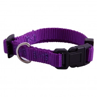 AC Purple Nylon Adjustable Collar
